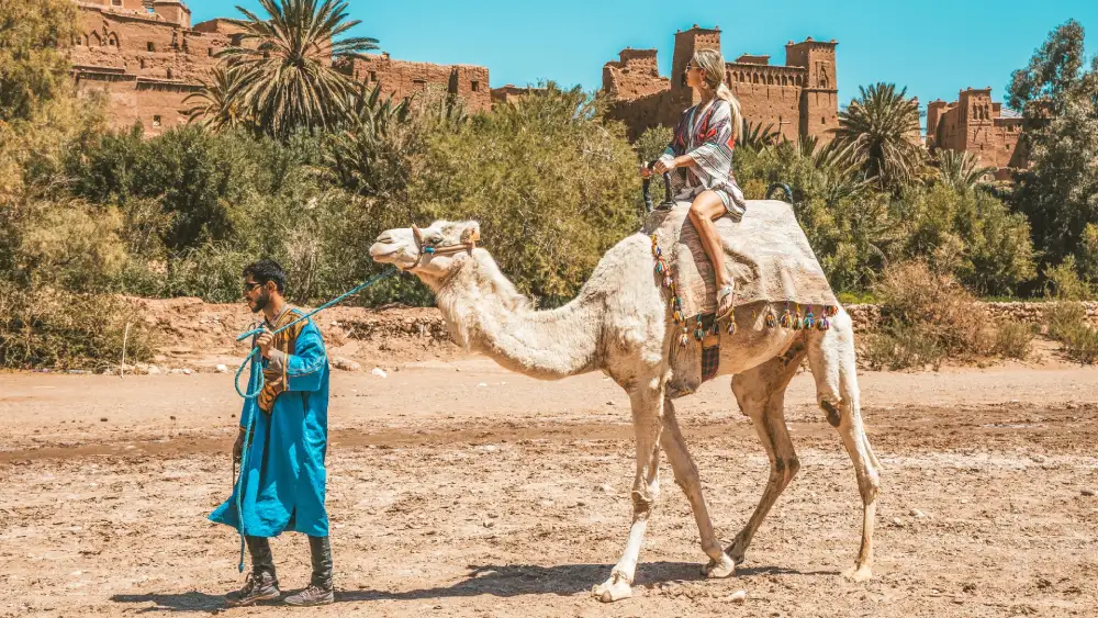 image - 2025-07-24T192748