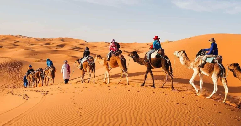 image - 2025-07-31T194603