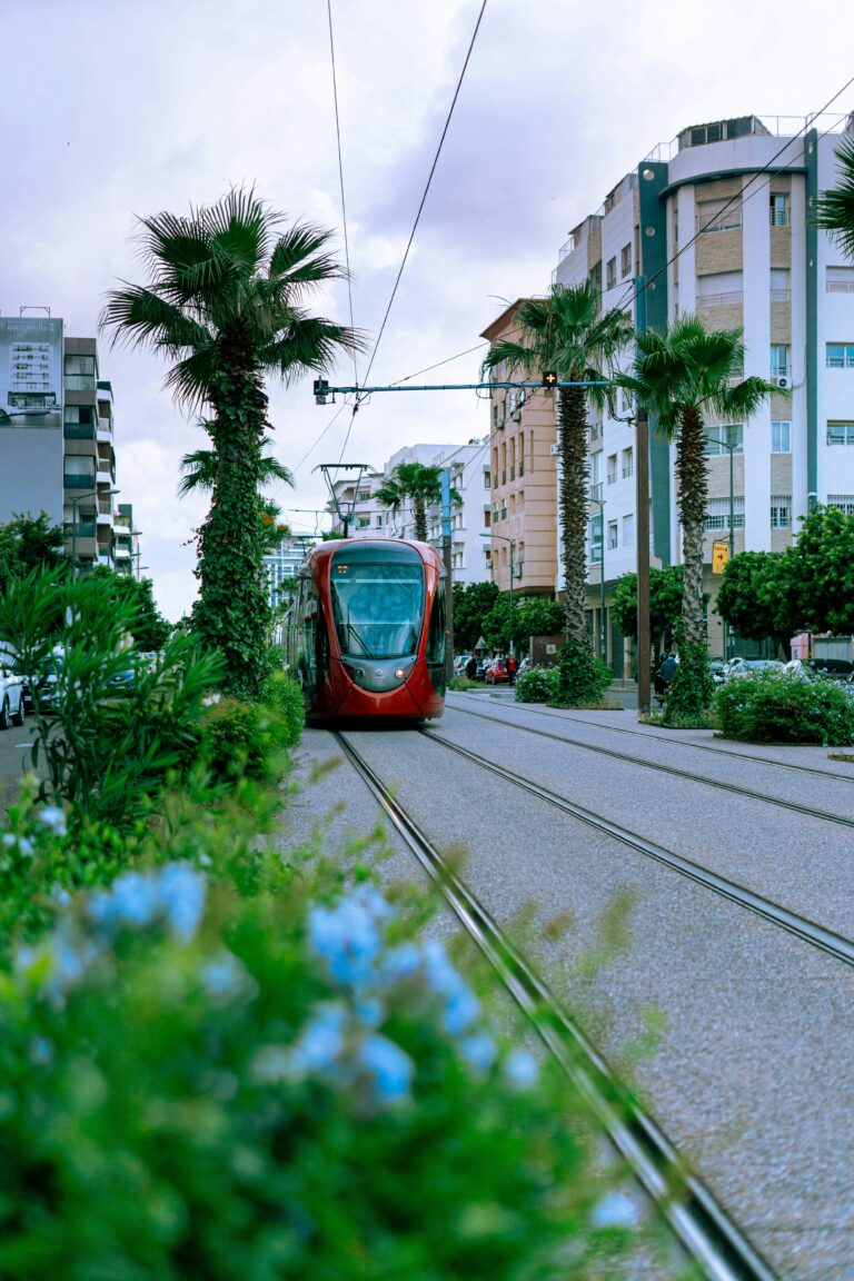 68A61C16-5B87-4232-B988-CAAF80E0EF41