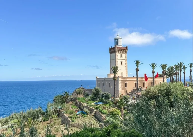 image - 2025-08-01T110249