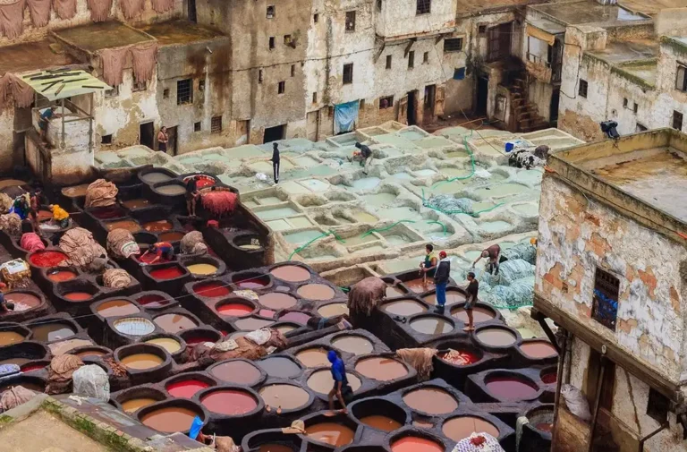 image - 2025-08-01T113839