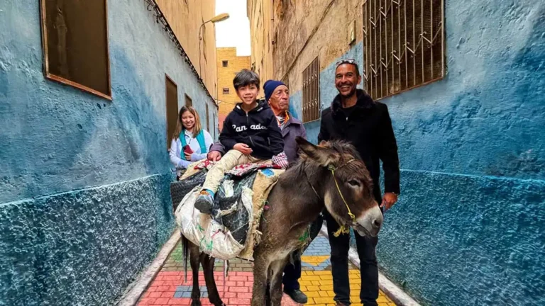 image - 2025-08-01T114244